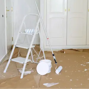 paint reno clean