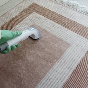 carpet cleaning