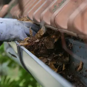 cleaning of leaf-filled gutter